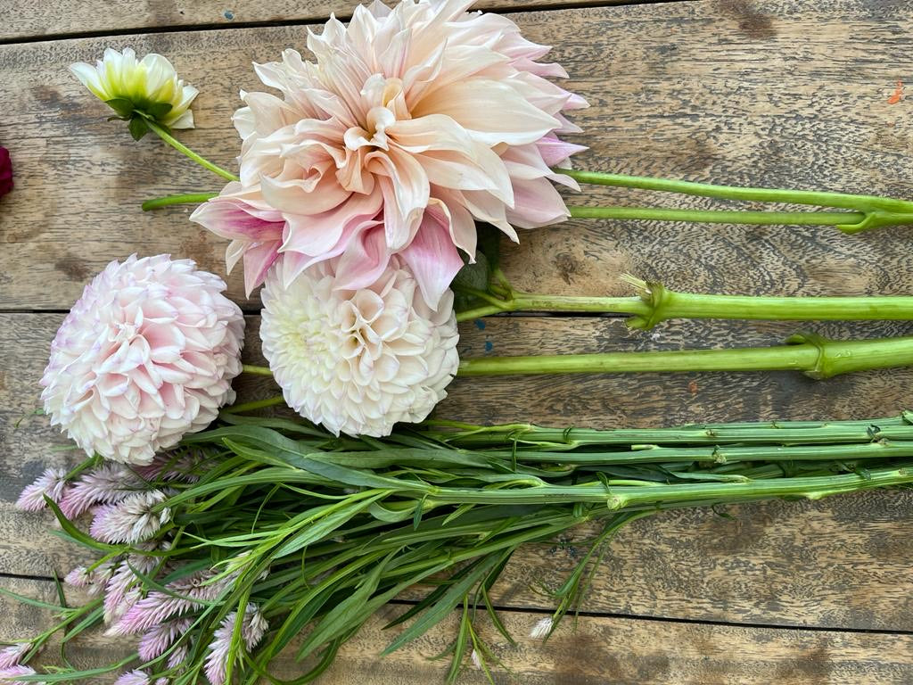 Becoming... A flower farmer