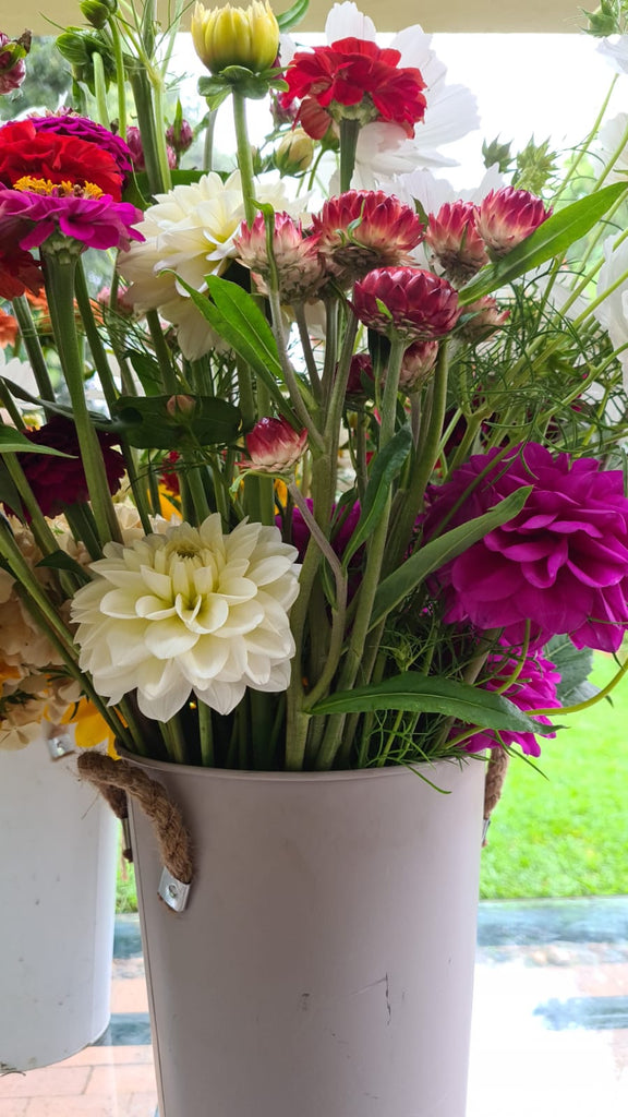 The Cut Flowers